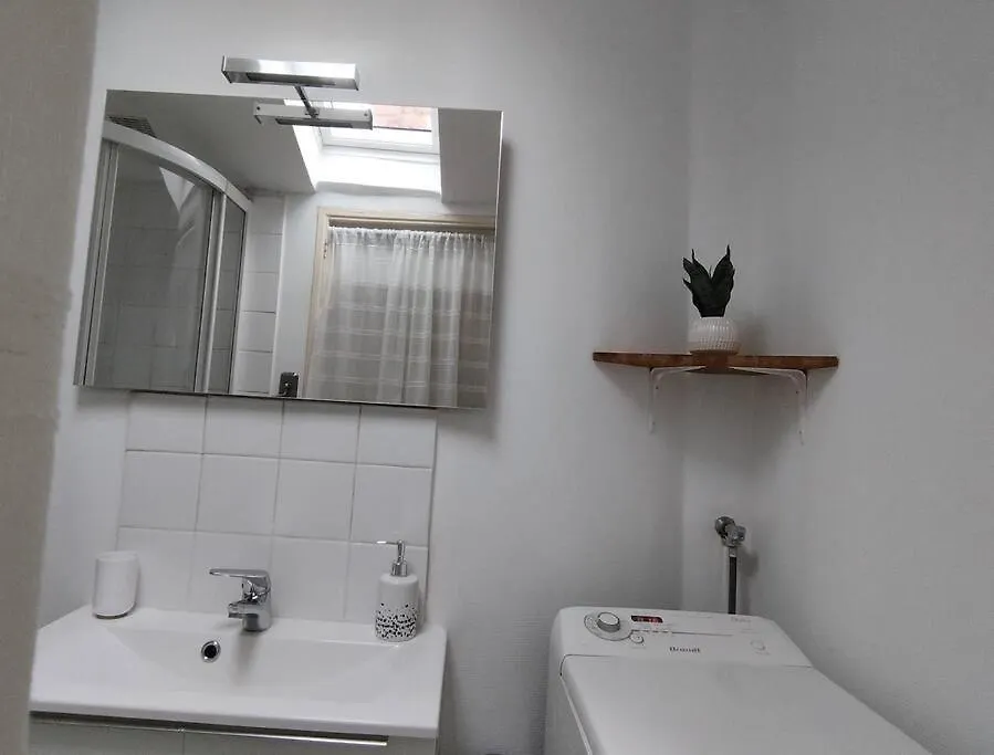 La Casa Del Cielo Appartement Toulouse